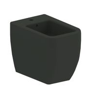 Биде Scarabeo TEOREMA 2.0 напольное с одним отверстием цвет черный матовый арт-5139 49 — фото 1, Биде напольные