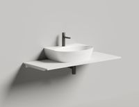 Раковина накладная ALDA WALL 02
покраска по RAL полностью 140312GF — фото 1, Раковины