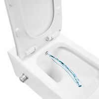 Унитаз подвесной Azario Nove 350х520х365 безободковый, c функцией биде, в комплекте быстросъемное сиденье микролифт арт-AZ-9321B — фото 5, Подвесные унитазы