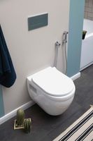 Товар: Унитаз подвесной Aquanet Rimless Glide-W CL-11042 - фото 21 Унитаз подвесной Aquanet Rimless Glide-W CL-11042 — фото 21, Подвесные унитазы