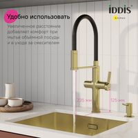 Смеситель для кухни с каналом для фильтрованной воды и гибким изливом IDDIS Ikon матовое золото арт-IKNMGFFi05 — фото 1, Смесители для кухни