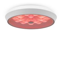 Потолочный светильник Freya арт-FR10012CL-L24W — фото 6, Подвесные светильники