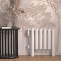 Кронштейн Опора Сунержа (для ДР Эталон и Кумир) / 2 шт Матовый белый арт-30-1545-0000 — фото 1, Комплектующие для полотенцесушителей