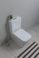 Товар: Чаша напольного унитаза Aquanet Rimless LX-2905 арт-Tavr 2.0 C1 - фото 9 Чаша напольного унитаза Aquanet Rimless LX-2905 арт-Tavr 2.0 C1 — фото 9, Напольные унитазы