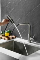 Смеситель для кухни с мультифункциональным изливом BELZ , сатин арт-B74811-1 — фото 11, Смесители для кухни