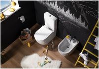 Товар: Чаша напольного унитаза Aquanet Rimless Cetus-C1 BL-102N-TPT - фото 16 Чаша напольного унитаза Aquanet Rimless Cetus-C1 BL-102N-TPT — фото 16, Напольные унитазы