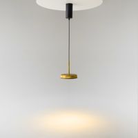 Подвесной светильник Maytoni арт-MOD041PL-L15G3K — фото 5, Подвесные светильники