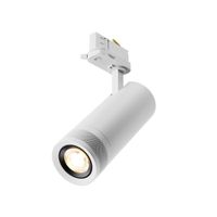 Трековый светильник Technical TR198-3-20W2.7K-Z-W — фото 1, Трековые светильники