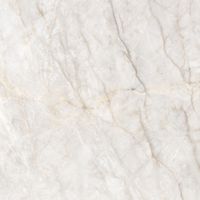 Керамогранит Adani_GT Беж. 60x60 _ 1\54,72 арт-GT606019202SPR — фото 6, Керамогранит