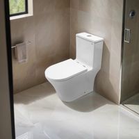 Унитаз-моноблок Azario Vally 690х360х760 напольный, слив "Торнадо", в комплекте с быстросъемным и сиденьем микролифт арт-AZ-80687 — фото 13, Напольные унитазы