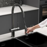 Смеситель Reflexion Lago RX9902GD для кухни с гибким изливом и подключением к фильтру, брашированное золото — фото 57, Смесители для кухни