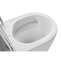 Товар: Унитаз напольный Azario LUMA TORNADO FLUSHING 364х600х830 безободковый, слив "Скрытое Торнадо", с быстросъемным сиденьем микролифт арт-AZ-1253ST - фото 4 Унитаз напольный Azario LUMA TORNADO FLUSHING 364х600х830 безободковый, слив "Скрытое Торнадо", с быстросъемным сиденьем микролифт арт-AZ-1253ST — фото 4, Напольные унитазы