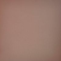 Керамогранит Профи шоколад матовый (1,44м2/46,08м2/32уп) 60х60 арт-GT025M — фото 1, Керамогранит