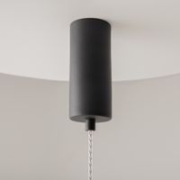 Товар: Подвесной светильник Maytoni MOD272PL-L12B3K - фото 11 Подвесной светильник Maytoni MOD272PL-L12B3K — фото 11, Подвесные светильники