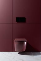 Чаша подвесного унитаза Allen Brau Fantasy бордо арт-4.11004.BD — фото 13, Подвесные унитазы