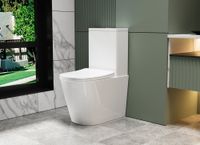 Унитаз ABBER Bequem компакт белый, безободковый, смыв торнадо арт-AC1112T — фото 15, Напольные унитазы