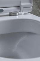 Товар: Чаша напольного унитаза Allen Brau Priority 4.31003.20 белый - фото 25 Чаша напольного унитаза Allen Brau Priority 4.31003.20 белый — фото 25, Напольные унитазы