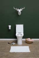 Чаша напольного унитаза Aquanet Rimless CL-12249B арт-Roll-C — фото 11, Напольные унитазы