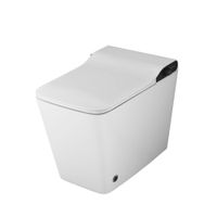 Унитаз приставной Grossman Smart (590х360х460) белый,1 место арт-GR-PR-5701 — фото 1, Приставные унитазы