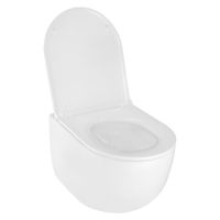 Унитаз подвесной Azario TERSO 495x360x370 безободковый, слив "Скрытое Торнадо" с быстросъемным сиденьем "Микролифт" арт-AZ-092E-UQ3 — фото 2, Подвесные унитазы