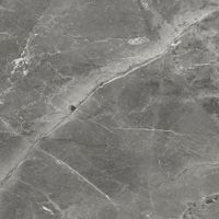 Керамогранит Tulip_GT Темно-сер. 60x60 _ 1\54,72 арт-GT606012109SPR — фото 9, Керамогранит