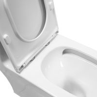 Унитаз-моноблок Azario Vally 690х360х760 напольный, слив "Торнадо", в комплекте с быстросъемным и сиденьем микролифт арт-AZ-80687 — фото 5, Напольные унитазы