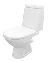 СКАНДИ ЛЮКС Унитаз-компакт, косой вып., сиденье микролифт., с 2-х реж. арм., белый ROSA Вн УнБ135 — фото 1, Напольные унитазы