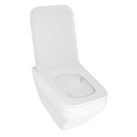 Унитаз подвесной Azario MONEO 355х515х365 безободковый, слив "Торнадо", в комплекте с быстросъемным сидением микролифт арт-AZ-0062 UQ1 — фото 1, Подвесные унитазы