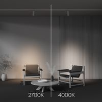 Трековый светильник Technical TR198-3-20W2.7K-Z-W — фото 9, Трековые светильники