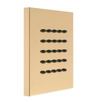 Форсунка гидромассажная Webert AC0334010, золото — фото 1, Душевые форсунки