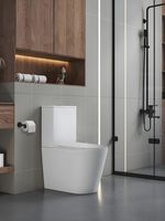 Унитаз PIERA Tornado напольный безободковый Ceruttispa CT10560 (630х350х795) Ceruttispa — фото 1, Напольные унитазы