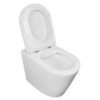 Унитаз приставной Azario Teramo 580х360х430 безободковый, быстросъемное сиденье с микролифтом арт-AZ-1003DNR — фото 2, Приставные унитазы