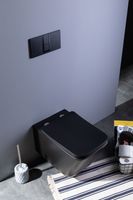 Товар: Унитаз подвесной Aquanet Rimless Tavr-W BL-103N-WHT black черный матовый TAVR-W BW - фото 27 Унитаз подвесной Aquanet Rimless Tavr-W BL-103N-WHT black черный матовый TAVR-W BW — фото 27, Подвесные унитазы