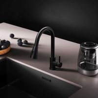 F85B07522 X-Joy S, смеситель для кухни с вытягивающимся изливом, черный — фото 2, Смесители для кухни