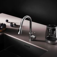 F85B07511 X-Joy S, смеситель для кухни с вытягивающимся изливом, сатин — фото 2, Смесители для кухни