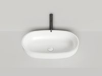 Раковина накладная GLORIA 05 покраска по RAL полностью 1102205MF — фото 3, Раковины