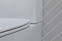 Товар: Чаша напольного унитаза Aquanet Rimless LX-2905 арт-Tavr 2.0 C1 - фото 15 Чаша напольного унитаза Aquanet Rimless LX-2905 арт-Tavr 2.0 C1 — фото 15, Напольные унитазы