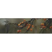 OS\A118\9016 декор Тракай 6 глянцевый 8,5х28,5 (8шт) OS\A118\9016 — фото 1, Декоративные элементы