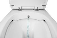 Унитаз-моноблок с функцией биде AZARIO Sente 375х665х785 напольный, безободковый, горизонтальный слив, сиденье дюропласт микролифт арт-AZ-8614B — фото 3, Напольные унитазы