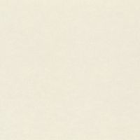 Обои 39 57396 Wall Textures XL III арт. арт-964806 — фото 1, Обои