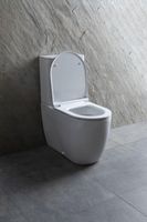 Товар: Чаша напольного унитаза Allen Brau Priority 4.31003.20 белый - фото 20 Чаша напольного унитаза Allen Brau Priority 4.31003.20 белый — фото 20, Напольные унитазы