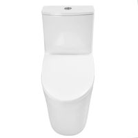 Унитаз-моноблок Azario ANSA 385х695x775 безободковый, в комплекте с сиденьем дюропласт микролифт, белый арт-AZ-2301 — фото 2, Напольные унитазы