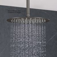 Товар: AQ2075BGM круглый верхний душ 300*2 мм, оружейная сталь - фото 6 AQ2075BGM круглый верхний душ 300*2 мм, оружейная сталь — фото 6, Верхние души