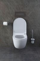 Товар: Унитаз Allen Brau Priority 4.31001.20 подвесной без сиденья - фото 52 Унитаз Allen Brau Priority 4.31001.20 подвесной без сиденья — фото 52, Подвесные унитазы