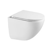 Унитаз подвесной Terminus Аврора (Торнадо 3.0) 01WM49x36W, белый — фото 1, Подвесные унитазы