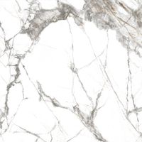 Керамогранит Everest_GT Белый 60x60 _ 1\43,2 арт-GT606013103MR — фото 13, Керамогранит