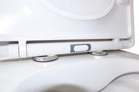 Унитаз-компакт Azario Rise 385х623х792 напольный, безободковый с быстросъемным сиденьем микролифт арт-AZ-68D — фото 6, Напольные унитазы