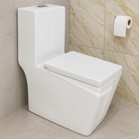 Товар: Унитаз-моноблок Azario RAYO 355х685х775 безободковый,с системой смыва Rimless, с быстросъемным сиденьем микролифт арт-AZ-6385 - фото 14 Унитаз-моноблок Azario RAYO 355х685х775 безободковый,с системой смыва Rimless, с быстросъемным сиденьем микролифт арт-AZ-6385 — фото 14, Напольные унитазы