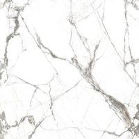 Керамогранит Everest_GT Белый 60x60 _ 1\43,2 арт-GT606013103MR — фото 3, Керамогранит