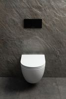 Товар: Чаша подвесного унитаза Allen Brau Priority Tornado 4.31009.20 белый глянец - фото 13 Чаша подвесного унитаза Allen Brau Priority Tornado 4.31009.20 белый глянец — фото 13, Подвесные унитазы